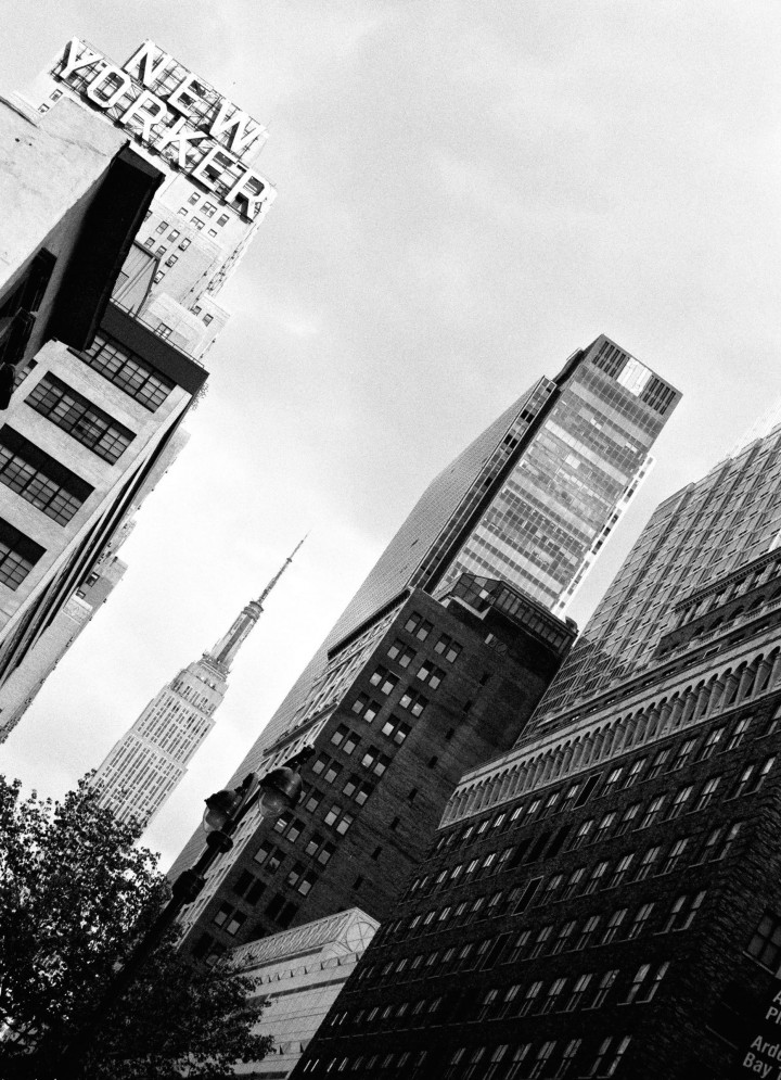 New York - New Yorker building -