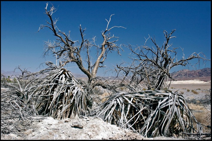 Dead Valley, Californie, Etats Unis.