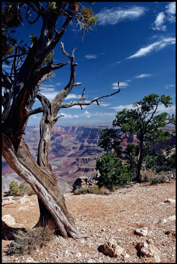 Grand Canyon National Park, Comté de Coconino, Arizona, États-Unis