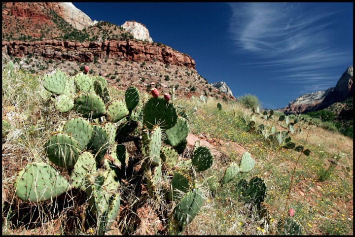 Sur la route de Brice Canyon, Comté de La Plata, Colorado, États-Unis.