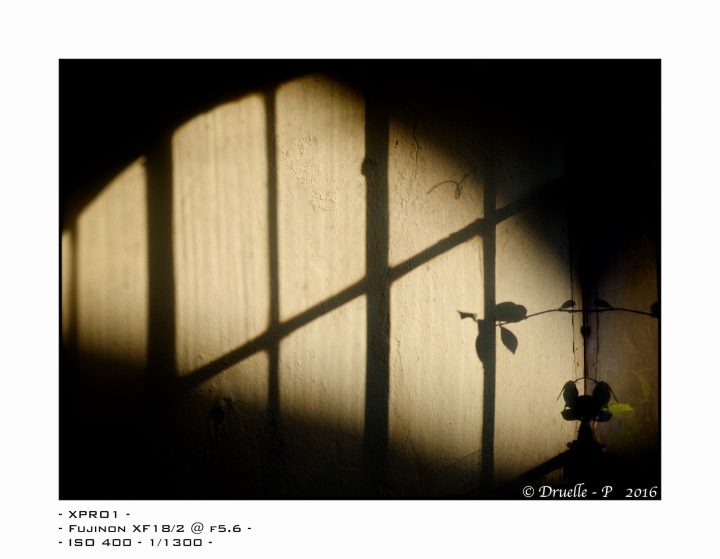 Fujinon XF 18mm f2